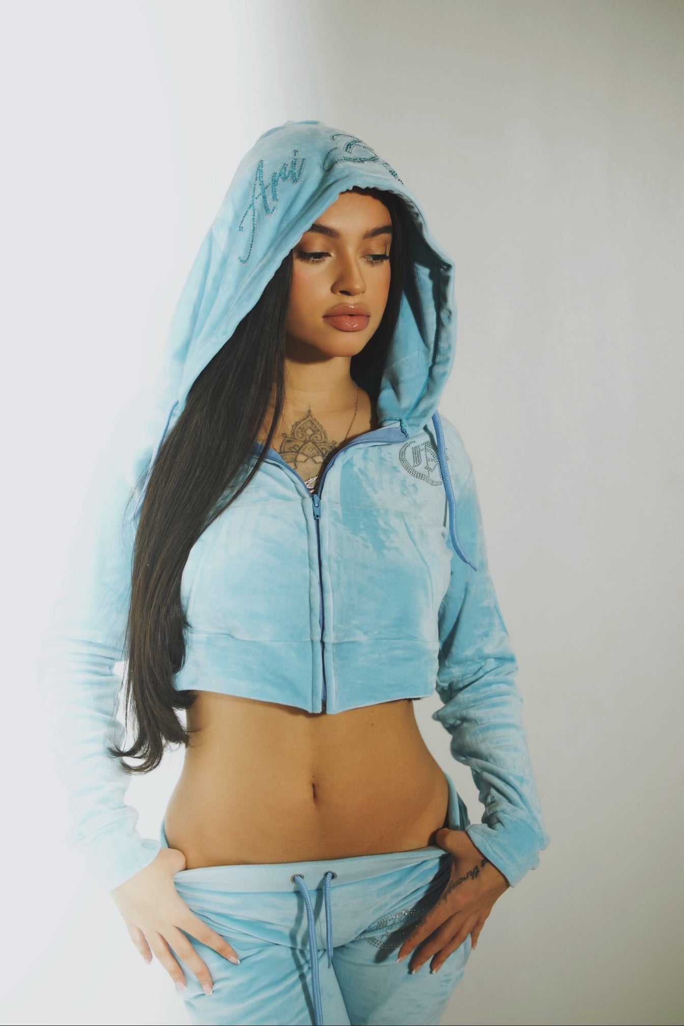 Icy velour Hoodie 2.0